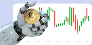 Falcon Wertgrove cryptocurrency exchange platform dashboard view